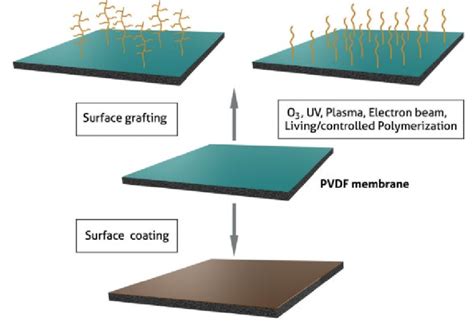 Path Of Surface Modification Of Surface Grafting And Surface Coating