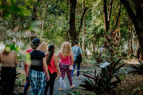 Posadas Invitan A Paseos Guiados En El Jard N Nico