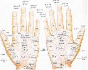 12 Steps: How to Apply Reflexology to the Hand (with Pictures)