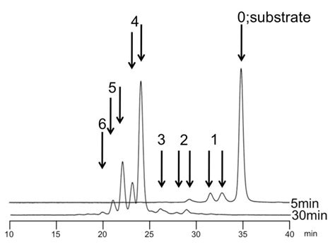 Figure 1 Example High Performance Liquid Chromatography Elution