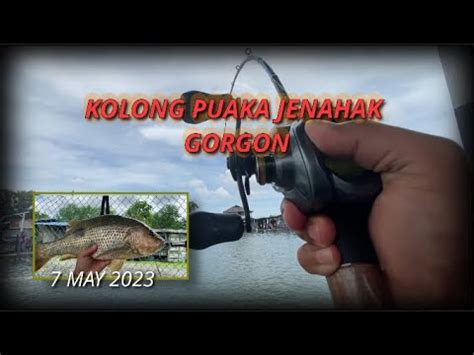 18 KOLONG PUAKA JENAHAK GORGON Di Kg Delek Fishing Park Kolam 1 YouTube