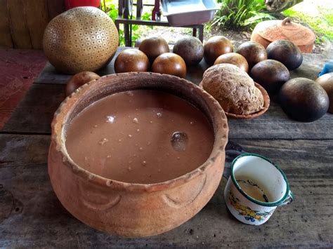 The Chorote Origin And Recipe Of An Ancestral Drink From Tabasco