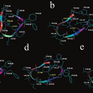 Low Energy Conformers Of MBP87 99 Peptide Analogues A Linear Agonist