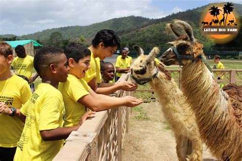 Safari Eco Park My Trini Chile