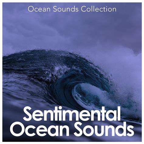 Sentimental Ocean Sounds Album By Ocean Sounds Collection Spotify