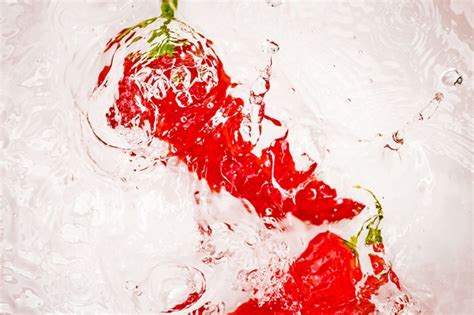 Somerset House Images RED HOT