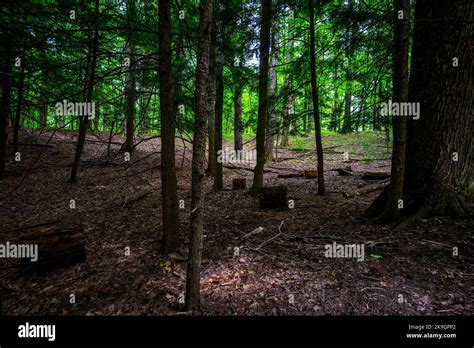 Chestnut Ridge Park Eternal Flame Falls Trail Stock Photo Alamy