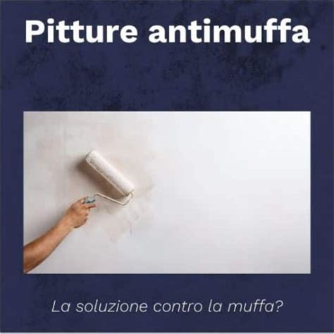 Pittura Antimuffa Un Rimedio Efficace Per La Muffa O Una Perdita Di Tempo