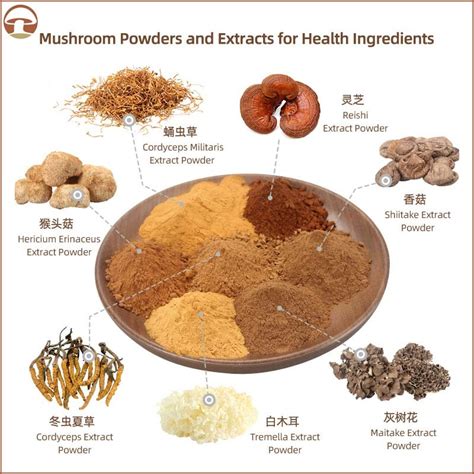 High Beta Glucan Reishi Mushroom Powder 30 Polysaccharide Organic