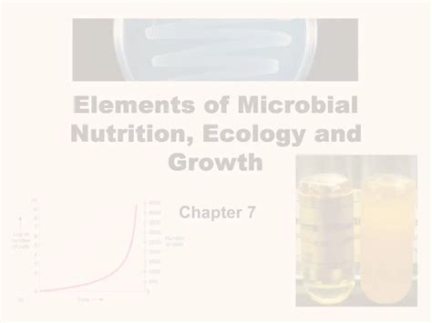 Ppt Elements Of Microbial Nutrition Ecology And Growth Powerpoint