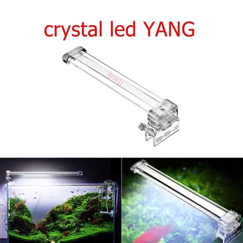 Jual Lampu LED Aquarium Jepit Aquascape Akuarium Mini YANG 3 Watt