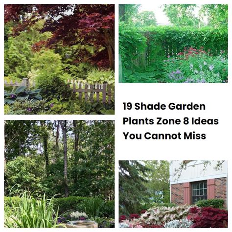 19 Shade Garden Plants Zone 8 Ideas You Cannot Miss SharonSable