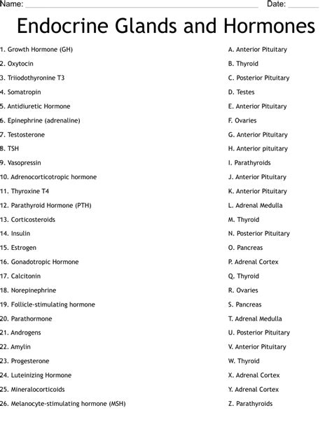 The Human Endocrine System Glands Worksheets