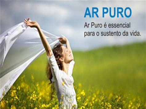 PPT Qual a importância do ar puro PowerPoint Presentation ID 6060516