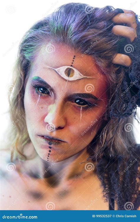 A Female Gypsy Moth Stock Photo 10393248