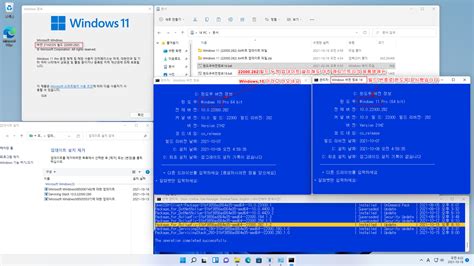 윈도우 포럼 설치 사용기 윈도우버전정보19 bat 테스트