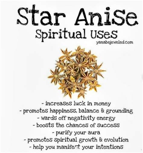 Pin By Thegonk On Zen In 2024 Magickal Herbs Magic Herbs Herbal Magic