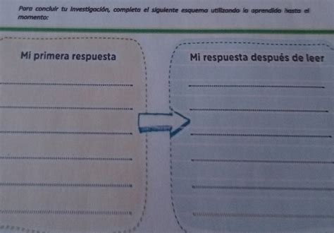 Para Concluir De Investigaci N Completa El Siguiente Esquema Utilizando