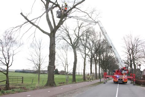 Brandweer Verwijdert Gevaarlijke Hangende Takken Van Bomen Eemnes