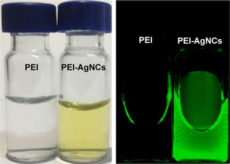 Full Article Polyethyleneimine Capped Silver Nanoclusters For Microrna Oligonucleotide Delivery