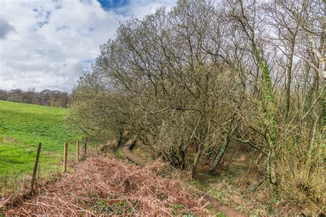 Alverstone Mead Nature Reserve © Ian Capper Cc By Sa20 Geograph