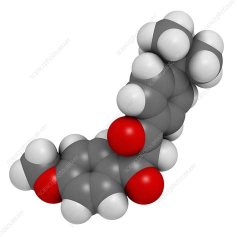 Avobenzone sunscreen molecule - Stock Image - F012/9845 - Science Photo ...