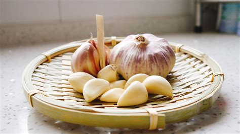 SEED GARLIC | Garlic Gods