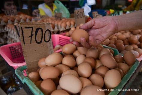 Harga Pangan Banten Telur Ikan Dan Bawang Putih Naik Jumat