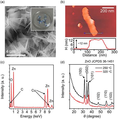 A Sem Image Of As Grown Zno Nanoflakes With A Scale Bar Of M The