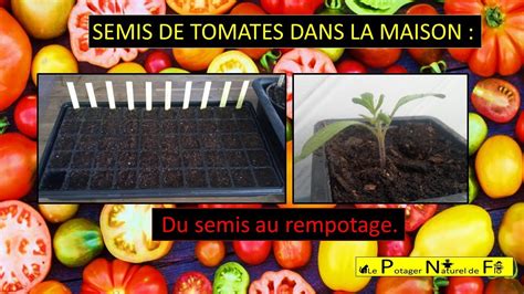 SEMIS DE TOMATES DANS LA MAISON Du Semis Au Rempotage YouTube