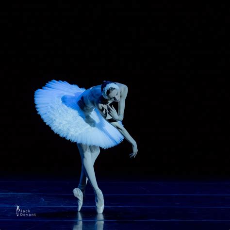 Svetlana Zakharova in The Dying Swan