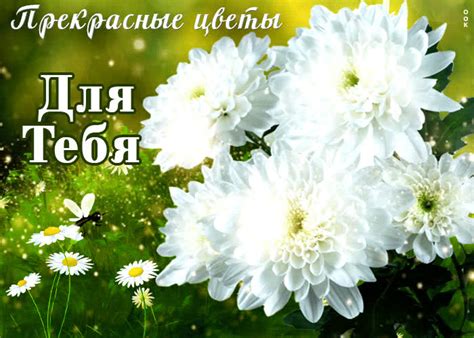 Анимационная открытка прекрасные цветы для тебя- Скачать бесплатно на ...