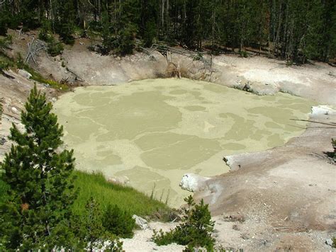 Sulphur Caldron Mud Volcano Area In Yellowstone National Park Wyoming