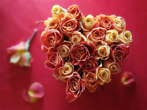 Valentines Day Roses - Wallpaper, High Definition, High Quality, Widescreen