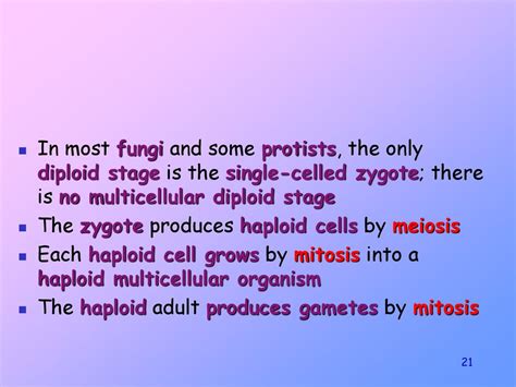 Meiosis And Sexual Life Cycles Ppt Download