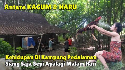 Masyaallah Suasana Kehidupan Kampung Suku Jawa Kuno Di Pelosok Hutan