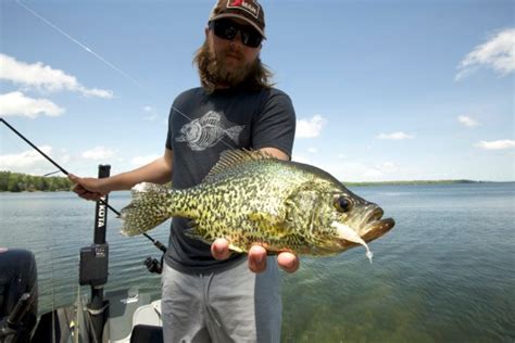 Tips And Tactics For Catching More Slab Crappies This Spring