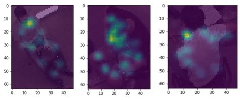 The 2D Pose Heatmaps Not Match To The Input Image Issue 1686 Open