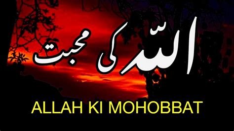 Allah Ki Mohabbat Ka Rasta Spiritual Quotes Collection