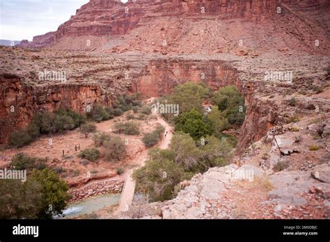 Tohono Oodham Tribe Fotografías E Imágenes De Alta Resolución Alamy