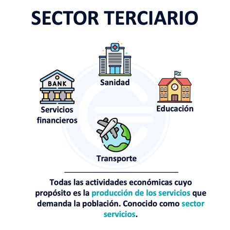 Sector Terciario Actividades Economicas Actividades Del Sector