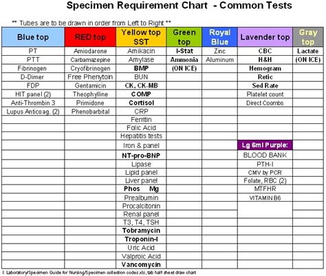 Labcorp Specimen Processing Instruction Guide At Ana Peterson Blog