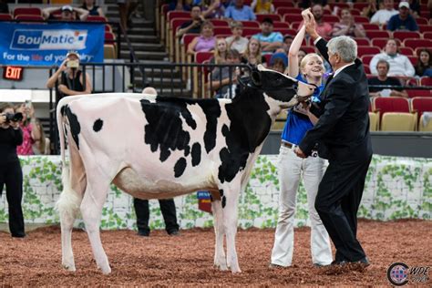 Farnear Lambda Adios 3415 Rc Embryosale Embryos