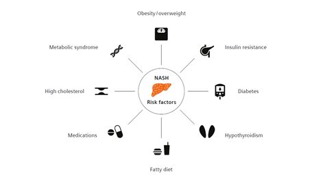 Liver Ultrasound Derived Fat Fraction Udff White Paper Siemens