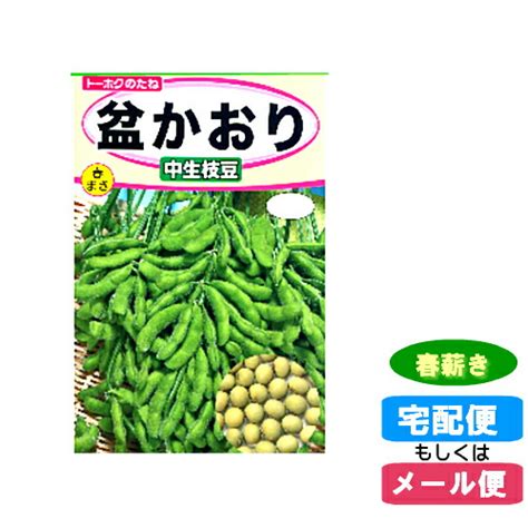 【楽天市場】【メール便対応】種子 中生枝豆 盆かおり 春まき春薪・たね・タネhst04：ホームショップつげ