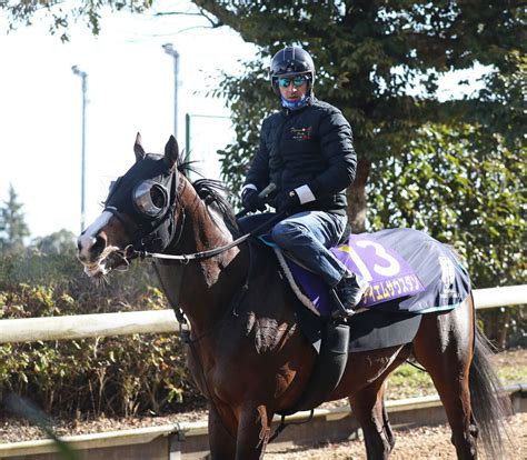 日曜メインレースの注目激走馬東京11rフェブラリーステークス・g1 スポーツ報知