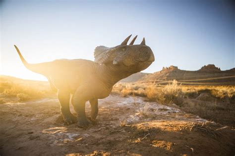 Moab Giants Dinosaur Park And Museum In Moab Utah