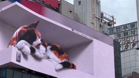 4k Giant 3d Cat On Billboard In Shinjuku Tokyo Japan Youtube