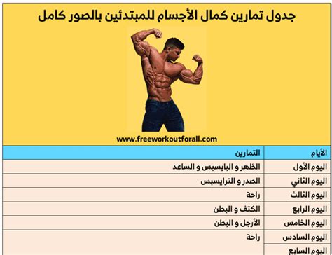 جدول تمارين كمال الاجسام للمبتدئين بالصور كامل Pdf Gym Schedule Gym