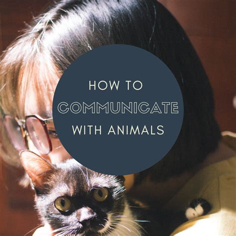 How To Talk To Animals Psychic Connections And Telepathy Pethelpful